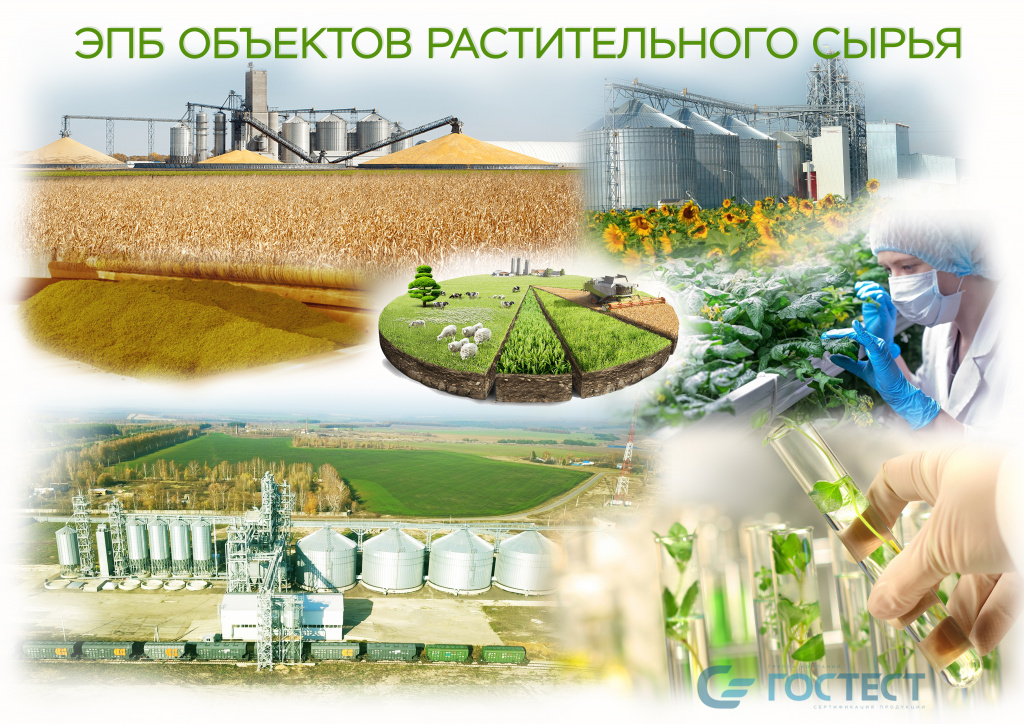 Промышленная экспертиза объектов растительного сырья и масложировой промышленности