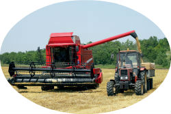 ТР ТС 010/2011 сертификат соответствия на машины и оборудование