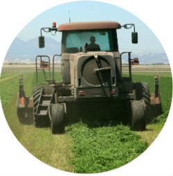 ТР ТС 010/2011 сертификат соответствия на оборудование