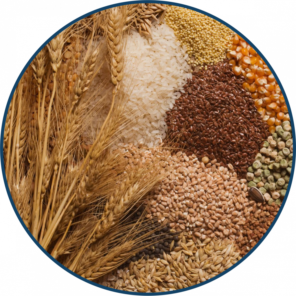 Декларация соответствия О безопасности зерна ТР ТС 015 2011